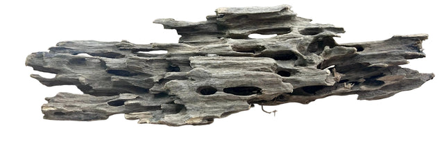 Texture / Shrimp Driftwood