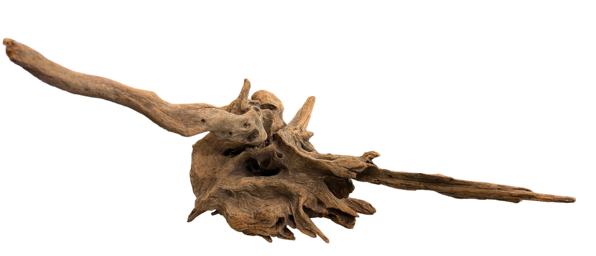 W.Y.S.I.W.Y.G.- 611 -Large Piece of Spiderwood | Substrates & Hardscape | Largest Tropical Fish Selection at Your Local Fish Store