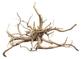  Medium Piece of Spiderwood