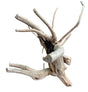 Piece of Spiderwood