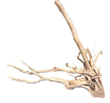  Spiderwood