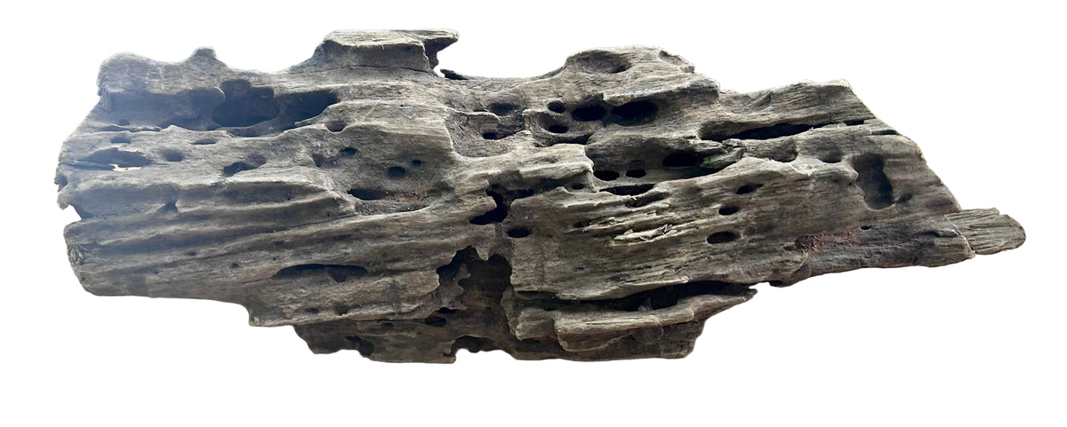 Texture / Shrimp Driftwood