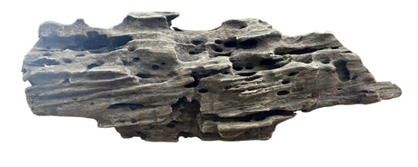 Texture / Shrimp Driftwood