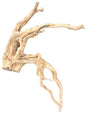  Large  Piece of Spiderwood