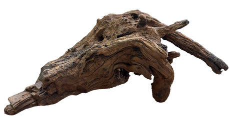  Malaysian Sinking  Driftwood