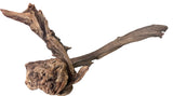 Malaysian Mangrove Sinking Driftwood