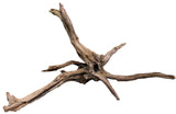 Malaysian Sinking Driftwood