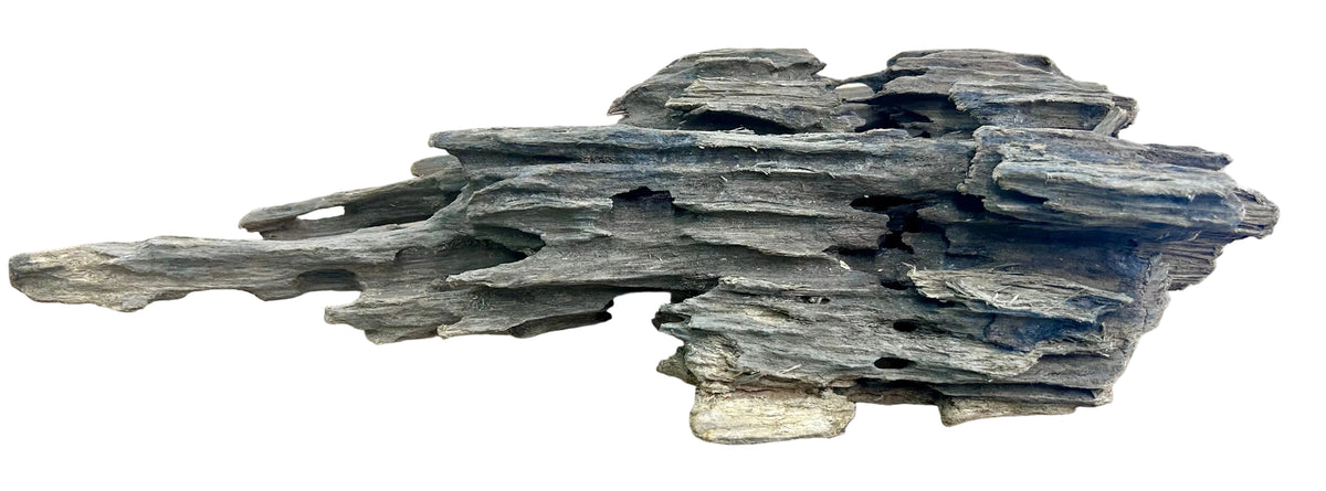 Texture / Shrimp Driftwood
