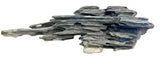 Texture / Shrimp Driftwood