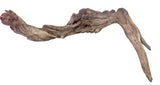 Malaysian Mangrove Sinking Driftwood