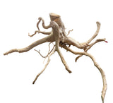 Large Piece of Spiderwood