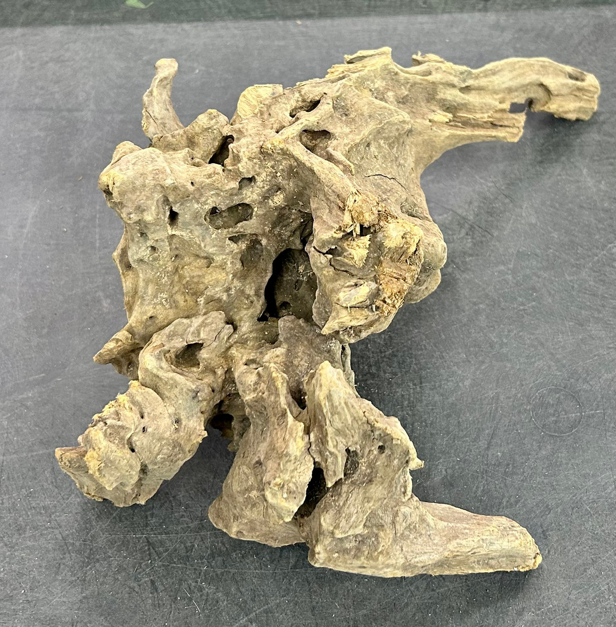 W.Y.S.I.W.Y.G.- 207 - Texture / Shrimp Driftwood