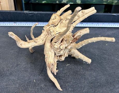 W.Y.S.I.W.Y.G.- 603 -  Piece of Spiderwood | Substrates & Hardscape | Largest Tropical Fish Selection at Your Local Fish Store