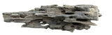 Texture / Shrimp Driftwood