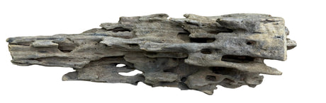 Texture / Shrimp Driftwood