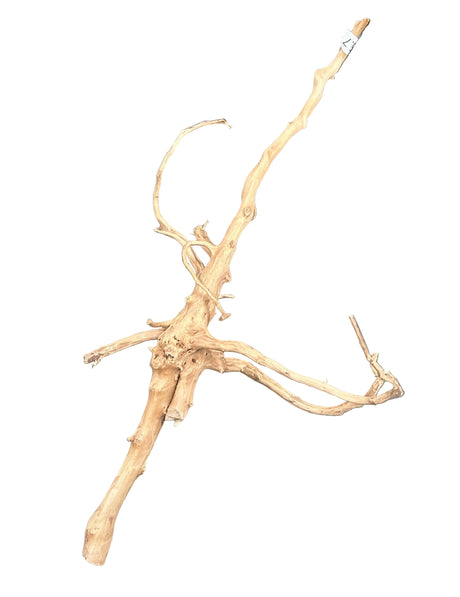 W.Y.S.I.W.Y.G.- 604 - Piece of Red Moor Spiderwood | Substrates & Hardscape | Largest Tropical Fish Selection at Your Local Fish Store