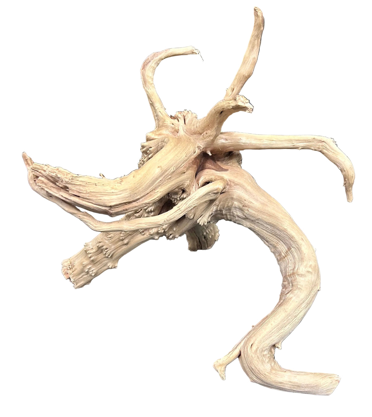 Piece of Spiderwood