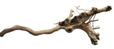  Piece of Spiderwood