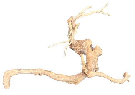 Large Piece of Spiderwood