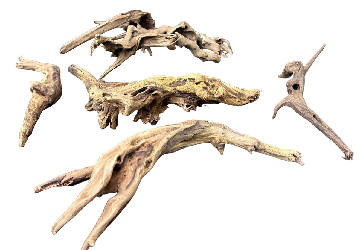 Malaysian Mangrove Sinking Driftwood