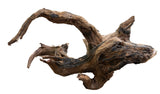 Malaysian Sinking Driftwood