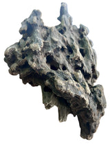 Texture / Shrimp Driftwood