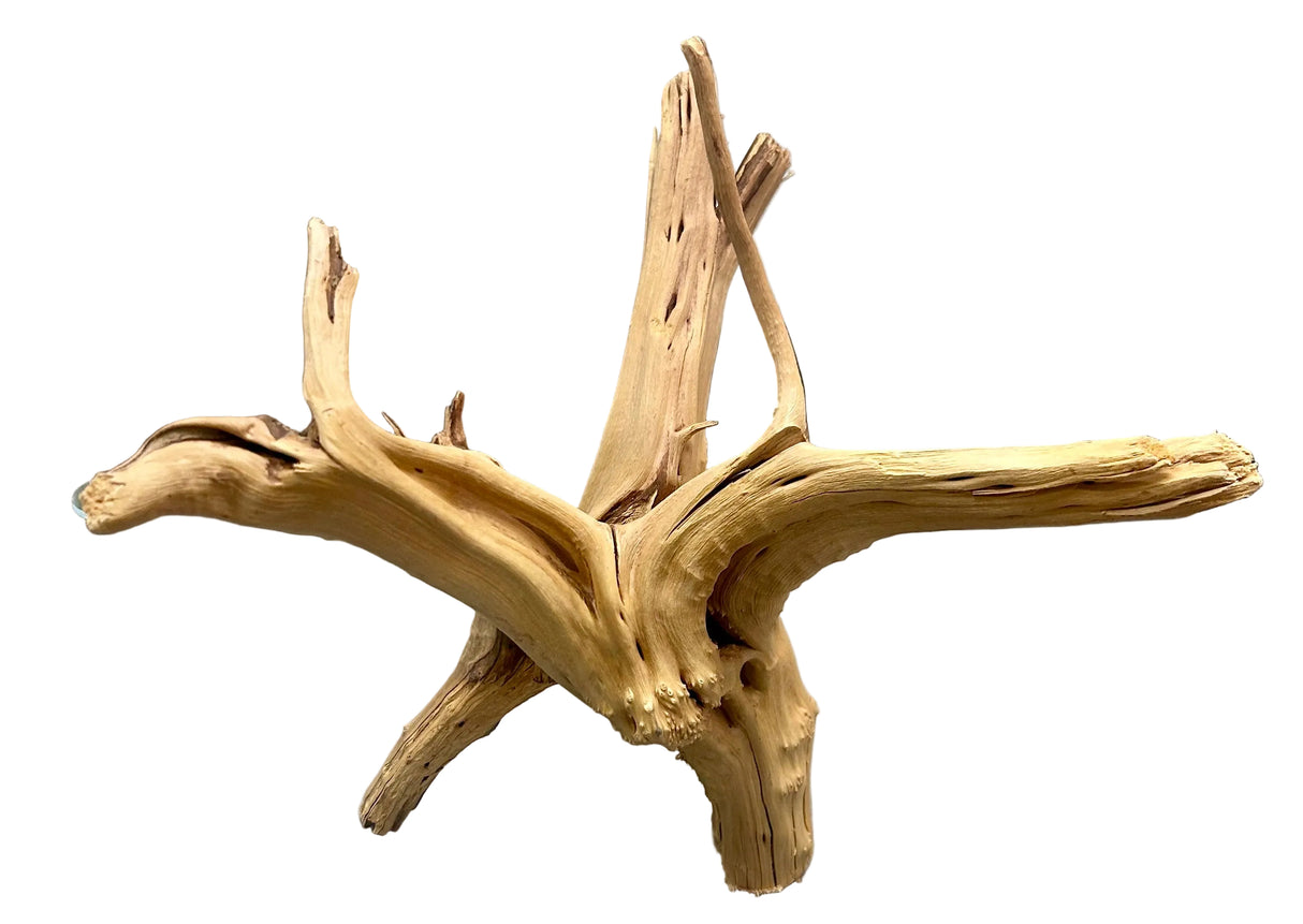 W.Y.S.I.W.Y.G.- 609 - Piece of Spiderwood | Substrates & Hardscape | Largest Tropical Fish Selection at Your Local Fish Store
