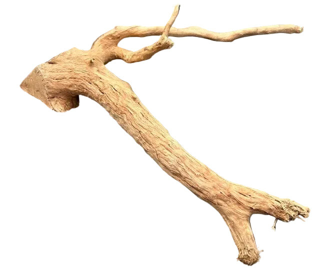 Malaysian Mangrove Wood
