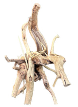 W.Y.S.I.W.Y.G.- 608 - Piece Spiderwood | Substrates & Hardscape | Largest Tropical Fish Selection at Your Local Fish Store