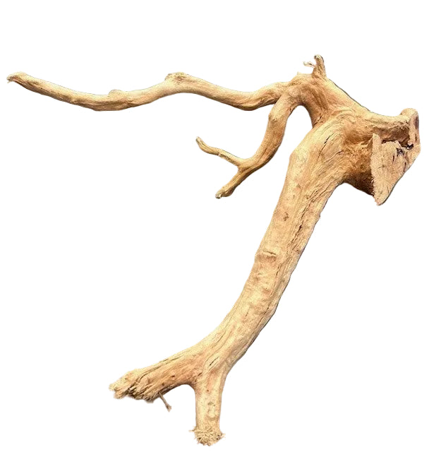 Malaysian Mangrove Wood