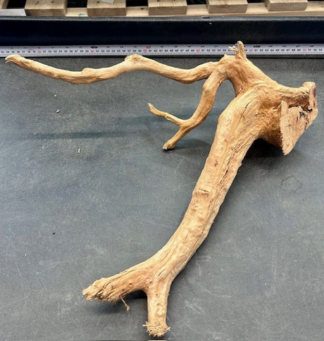W.Y.S.I.W.Y.G.- 610 -  Large Piece of Spiderwood