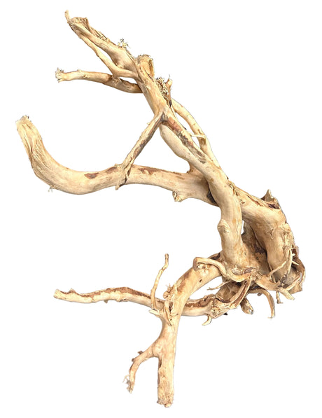 LARGE PIECE  SPIDERWOOD