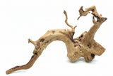 Large Piece of Spiderwood
