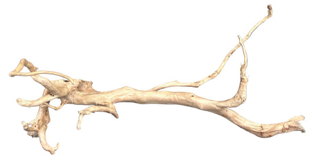 Large Piece of Spiderwood