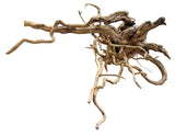 XX Large Piece of Spiderwood