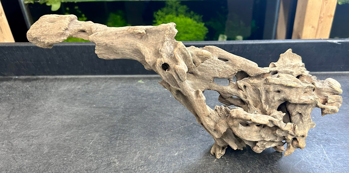 W.Y.S.I.W.Y.G.- 211 - Texture / Shrimp Driftwood