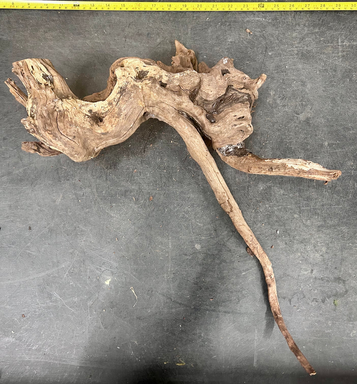 W.Y.S.I.W.Y.G.- 402 - Malaysian Mangrove Wood