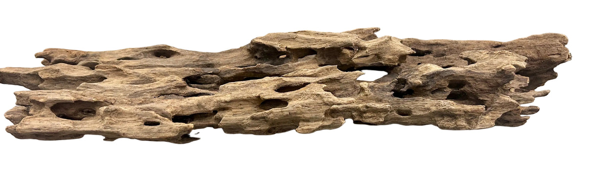 Texture / Shrimp Driftwood