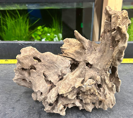 W.Y.S.I.W.Y.G.- 206 - Texture / Shrimp Driftwood