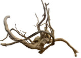XX Large Piece of Spiderwood