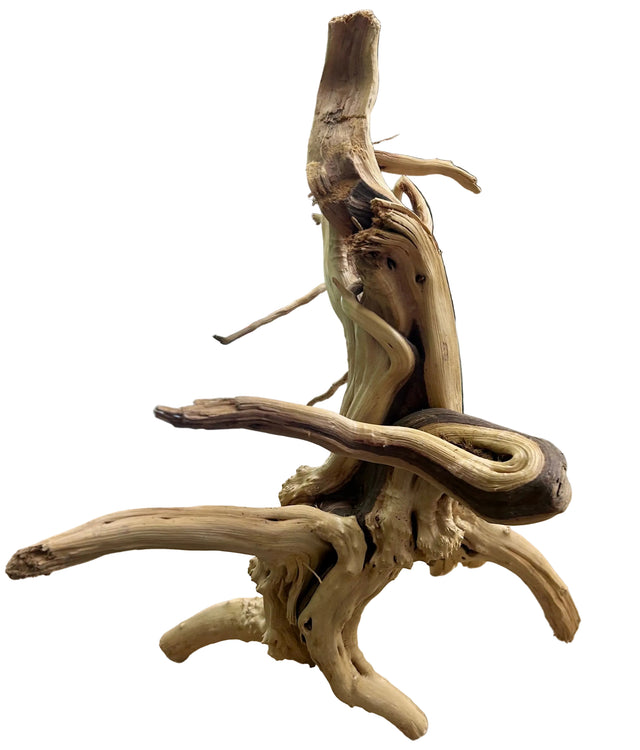 Piece Spiderwood