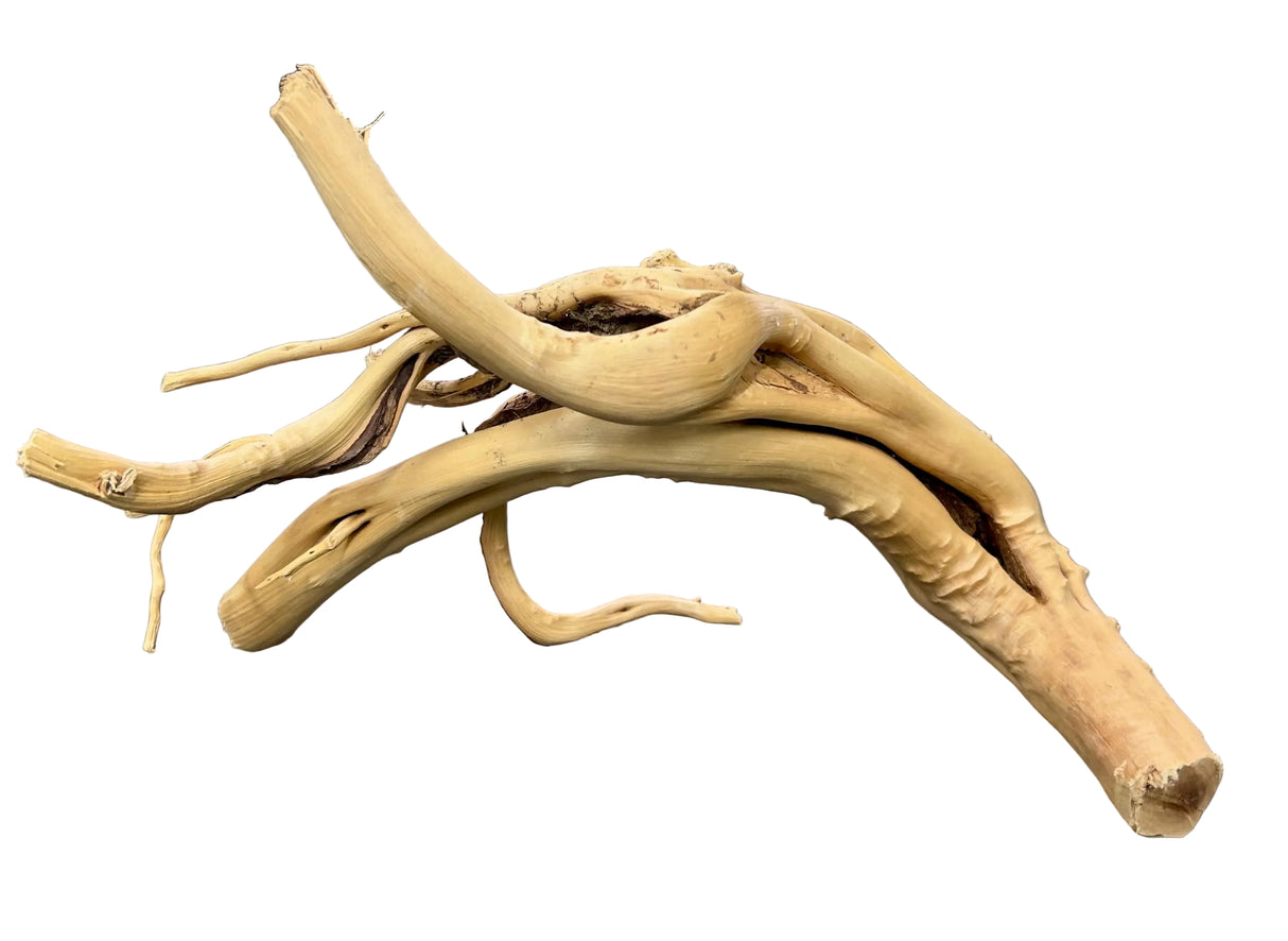 Piece of Spiderwood