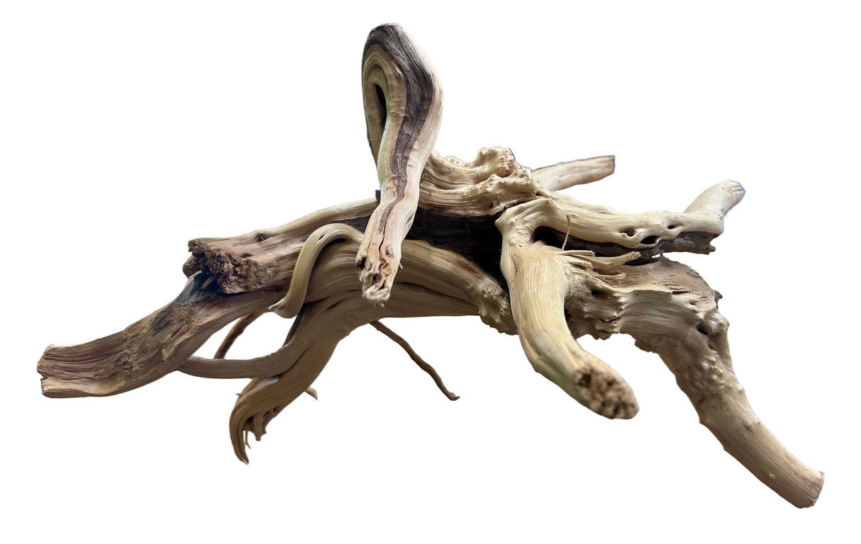 Piece Spiderwood