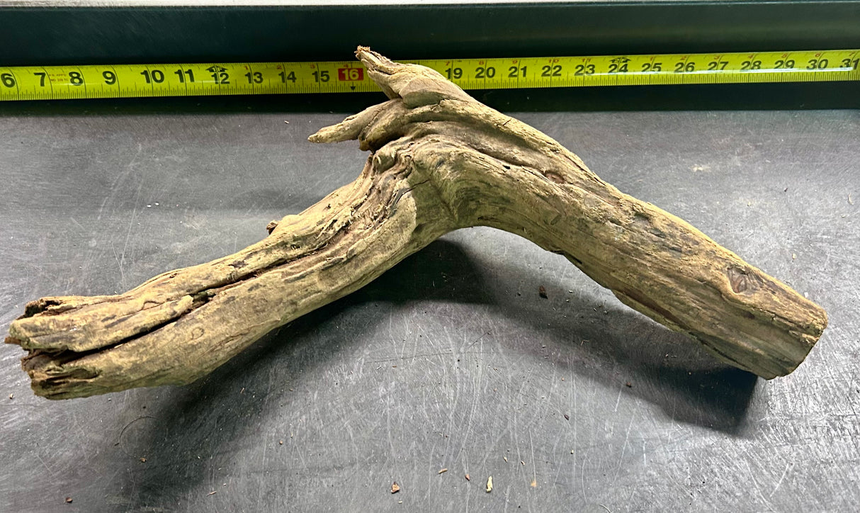 W.Y.S.I.W.Y.G.- 424 - Malaysian Mangrove Wood