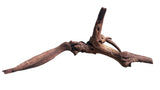 Malaysian Sinking Driftwood