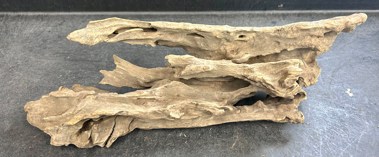 W.Y.S.I.W.Y.G.- 215  - Texture / Shrimp Driftwood