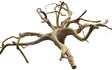 XX Large Piece Spiderwood