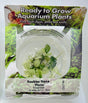 Anubias nana pinto Tissue Culture - C31796 | Tissue Cultures | Largest Tropical Fish Selection at Your Local Fish Store