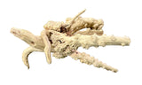 Piece of Spiderwood