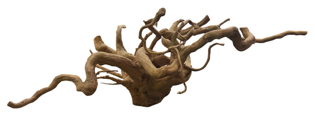 XX Large Piece Spiderwood